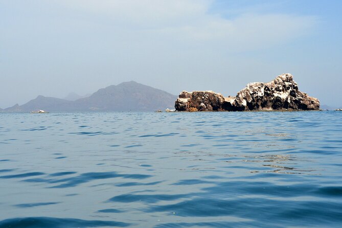 Boating Along the Coastline of San Carlos With a Marine Biologist - Cancellation Policy Information