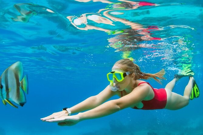 Boatride/Snorkeling and Local Food Hunt in Montego Bay Activity - Pickup Information