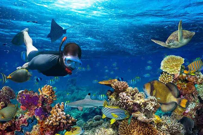 Boatride/Snorkeling and Local Food Hunt in Montego Bay Activity - Snorkeling Experience