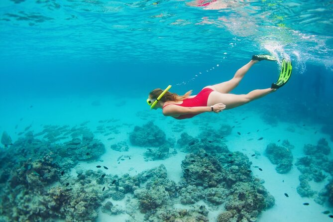 Boatride/Snorkeling and Local Food Hunt in Montego Bay Activity - Customer Satisfaction