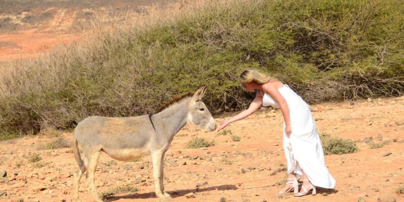Boavista: Social Media Safari; Insta Iconic Spots Tour - Varandinha Caves