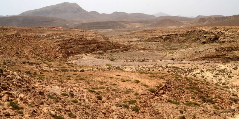 Boavista: Traditional & Local Experience Tour - Customer Feedback