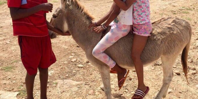 Boavista: Traditional & Local Experience Tour - Exploring Bofareiras Farm