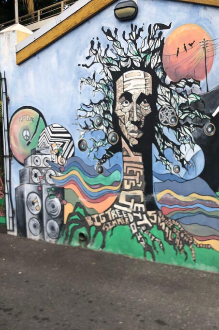 Bob Marley 9 Miles & Dunns River Tour From Ocho Rios - Bob Marleys Birthplace and Resting Place