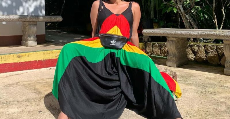 Bob Marley and Dunn's River Falls Private Tour - Key Points