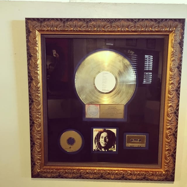Bob Marley and Dunn's River Falls Private Tour - Marleys Birthplace and Upbringing