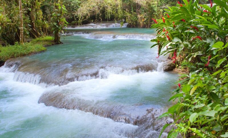 Bob Marley Birthplace and Dunn's River Falls Private Tour - Inclusions