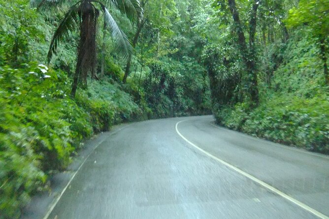 Bob Marley Birthplace, Nine Miles Tour From Ocho Rios - Tour Overview