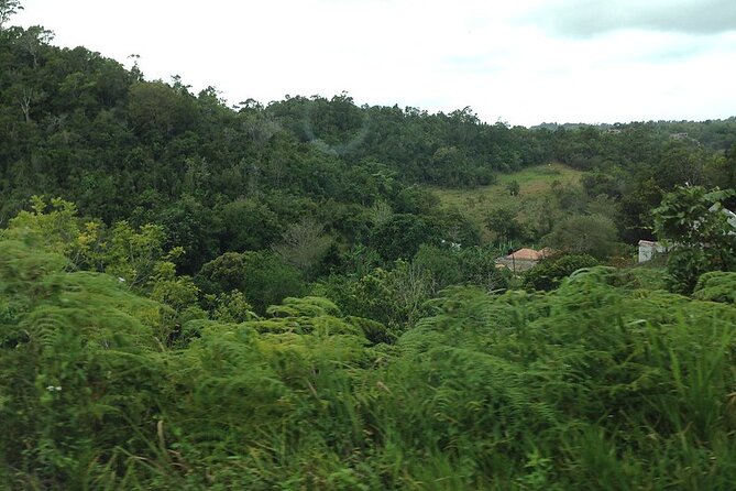 Bob Marley Birthplace, Nine Miles Tour From Ocho Rios - Health and Safety