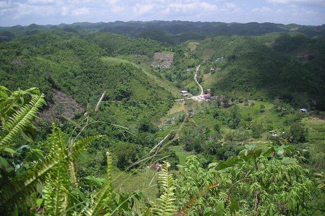 Bob Marley Birthplace, Nine Miles Tour From Ocho Rios - Booking and Pricing