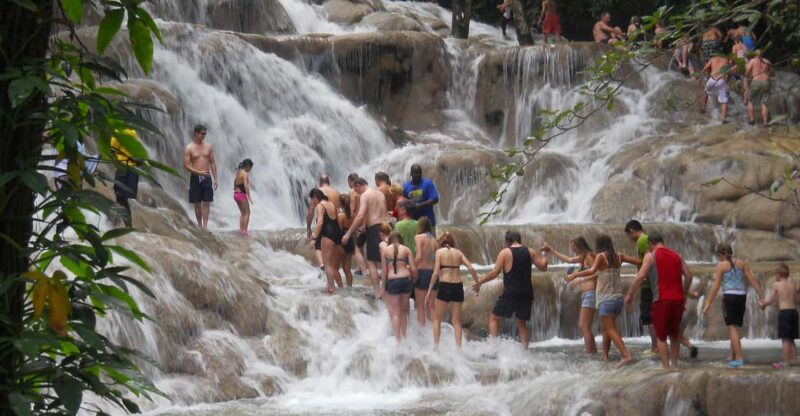 Bob Marley, Dunn's River Falls and Luminous Lagoon Tour - Bob Marley Experience