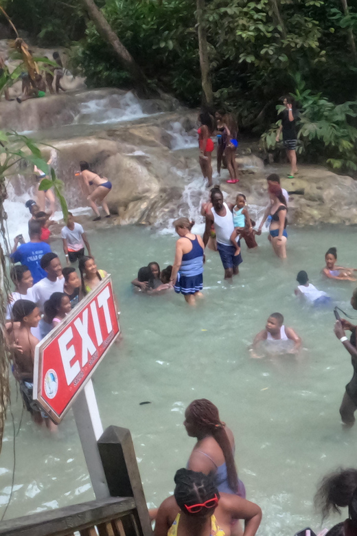 Bob Marley, Dunn's River Falls and Luminous Lagoon Tour - Dunns River Falls