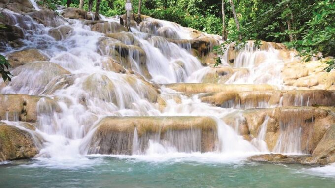Bob Marley, Dunn's River Falls and Luminous Lagoon Tour - Rastafarian Lifestyle in Nine Mile