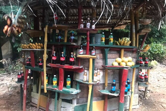 Bob Marley & Dunns River Falls (Group) Transportation Only - Inclusions and Exclusions