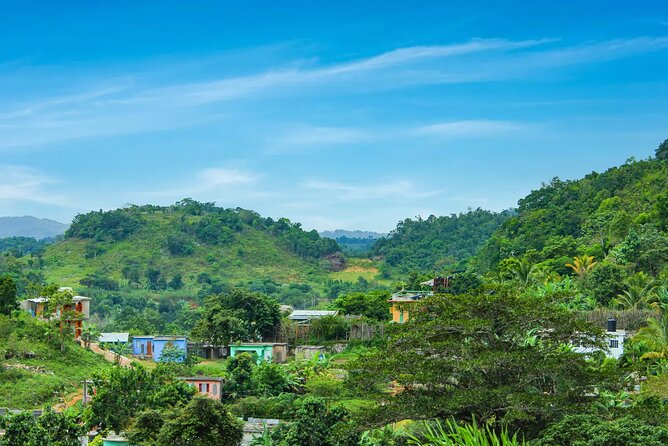 Bob Marley Mausoleum & Dunn's River Falls Private Tour - Experiencing Dunns River Falls