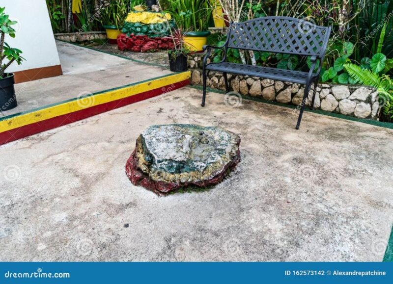 Bob Marley Mausoleum & Dunn's River Falls Private Tour - Tour Inclusions