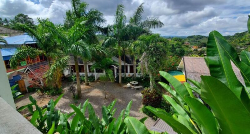 Bob Marley Museum and Nine Mile Town Tour - Inclusions and Exclusions
