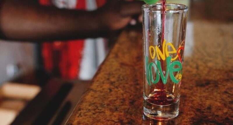 Bob Marley Museum and Nine Mile Town Tour - Bob Marleys Birthplace and Burial Site