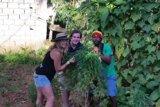 Bob Marleys Nine Mile & Dunns River Falls Tour: Transportation & Ticket - Exploring Bob Marleys Nine Mile