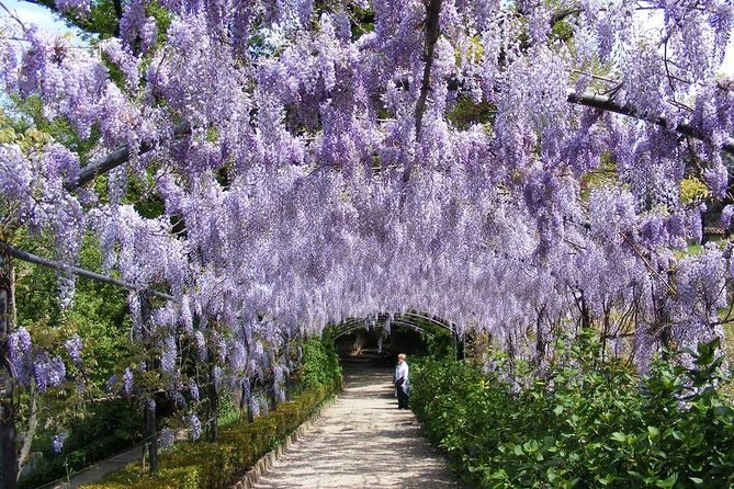 Boboli Garden Tour in Florence - What to Expect