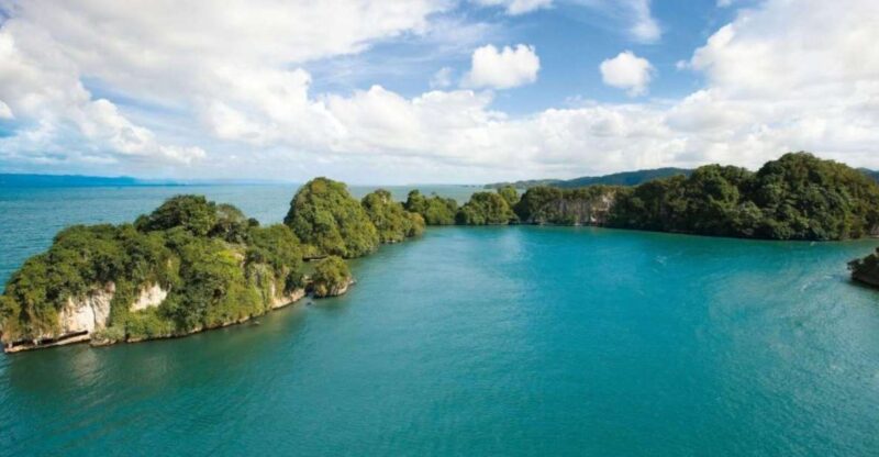 Boca Chica: Los Haitises Guided Hike and Kayaking - Key Points