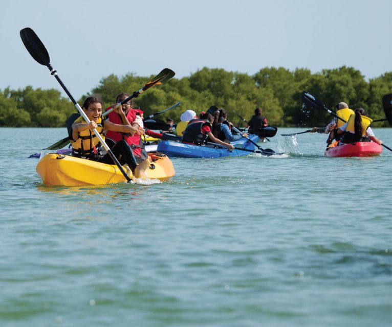 Boca Chica: Los Haitises Guided Hike and Kayaking - Pricing and Inclusions