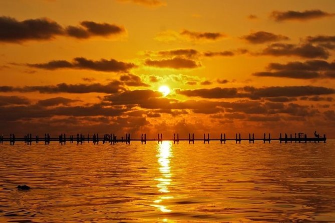 Boca Grande Inshore Fishing Charter - Reeling in the Catch