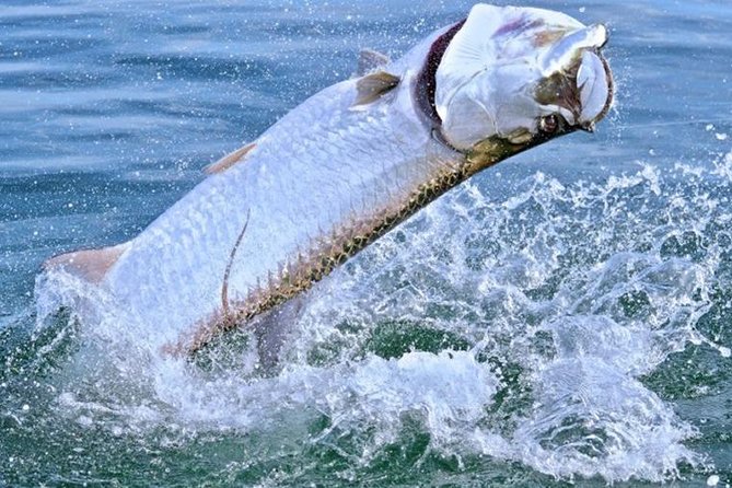 Boca Grande Inshore Fishing Charter - Onboard Amenities and Facilities