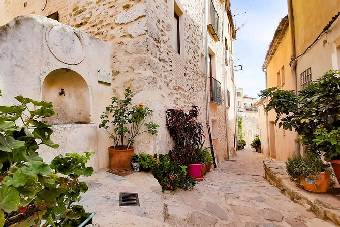 Bocairent Full Day Tour and Islamic Labyrinth From Alicante - Meeting and Pickup Details