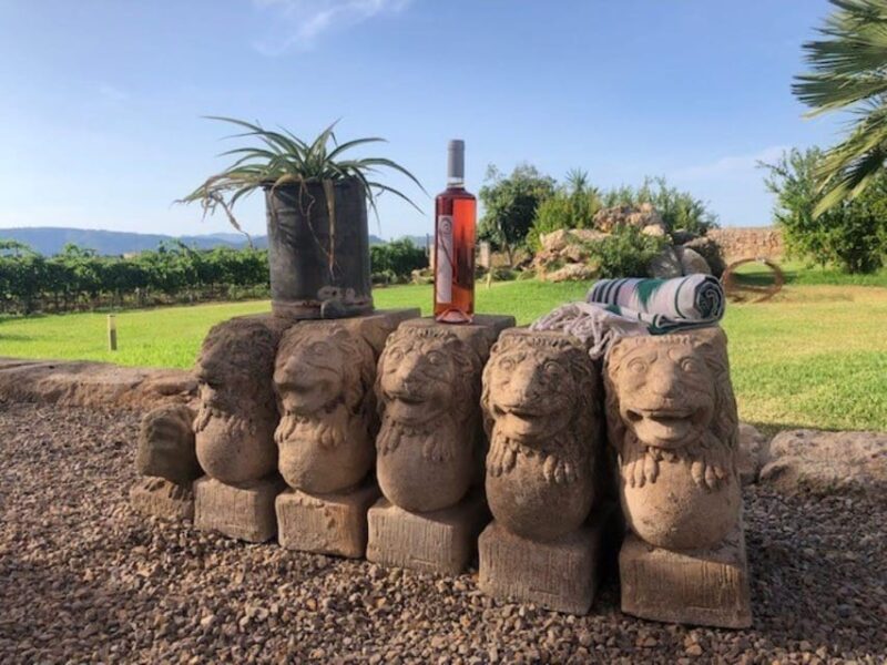 Bodega Butxet Vineyards and Winery Guided Tour With Tasting - Key Points