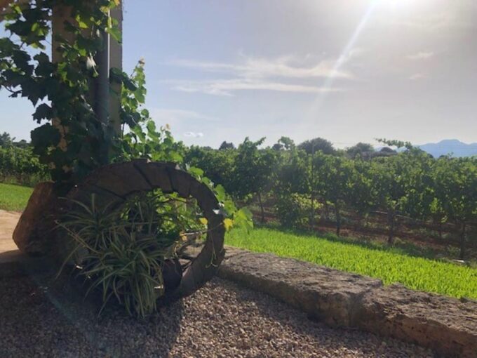 Bodega Butxet Vineyards and Winery Guided Tour With Tasting - Wine Quality and Awards