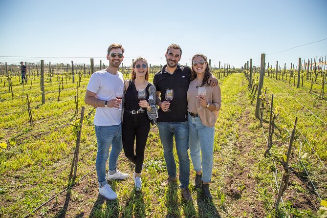 Bodega Gamboa Premium Wine Tasting With Lunch - Key Points