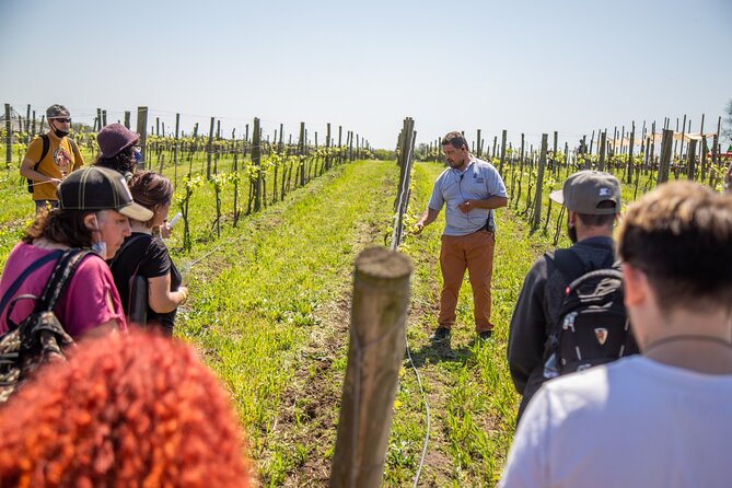Bodega Gamboa Premium Wine Tasting With Lunch - Indulging in the Winery Lunch
