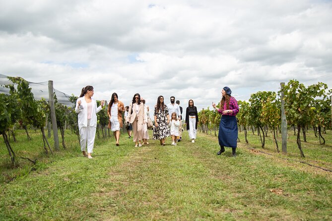 Bodega Gamboa Premium Wine Tasting With Lunch - Tour Highlights and Inclusions