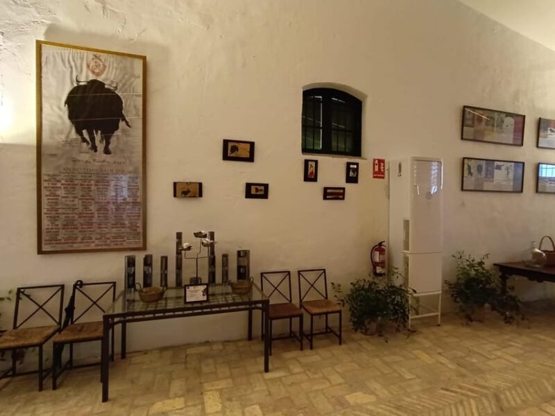 Bodega Halcón Winery Tour With Wine Tasting South of Seville - Key Points