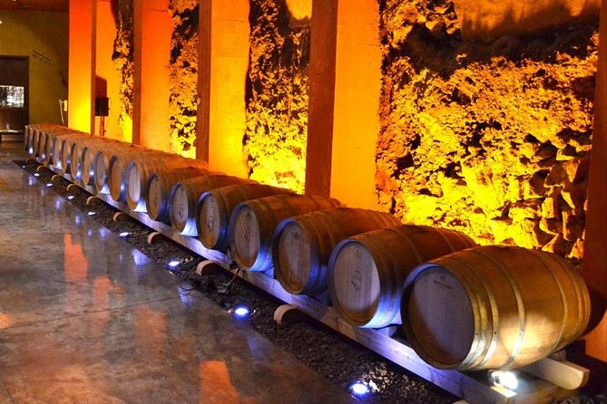 Bodegas Monje Winery Ticket With Wine Tasting and Mojo Sauce Workshop - Dining and Meal Experience