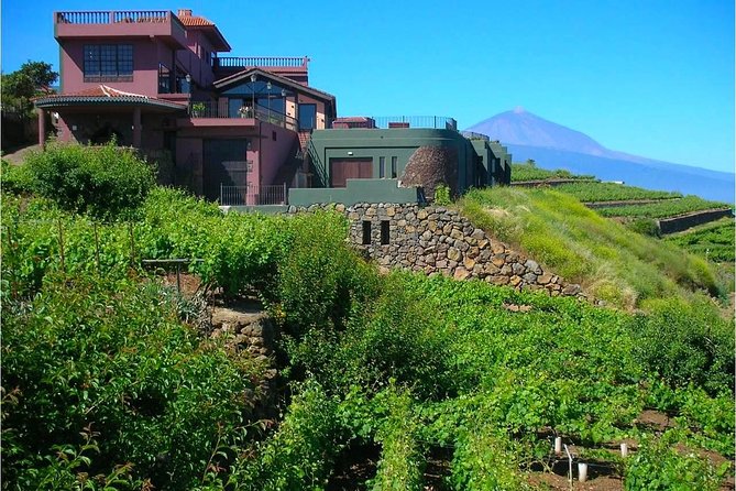 Bodegas Monje Winery Ticket With Wine Tasting and Mojo Sauce Workshop - Inclusions and Exclusions