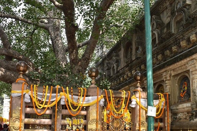Bodhgaya Day Tour (Hotel Pickup) - Customer Feedback and Recommendations