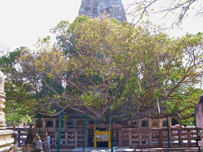 BODHGAYA FULL DAY TOUR - Frequently Asked Questions