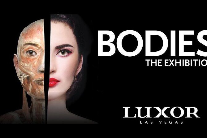 Bodies The Exhibition at the Luxor Hotel and Casino - Showcasing Human Body Complexity