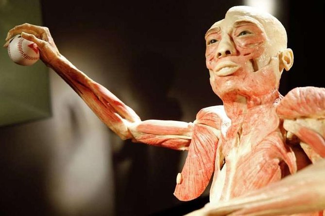 Bodies The Exhibition at the Luxor Hotel and Casino - Admission Ticket and All-Day Access