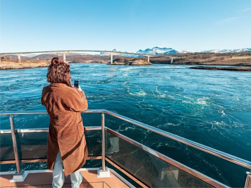 Bodø: Arctic Light Cruise - Key Points