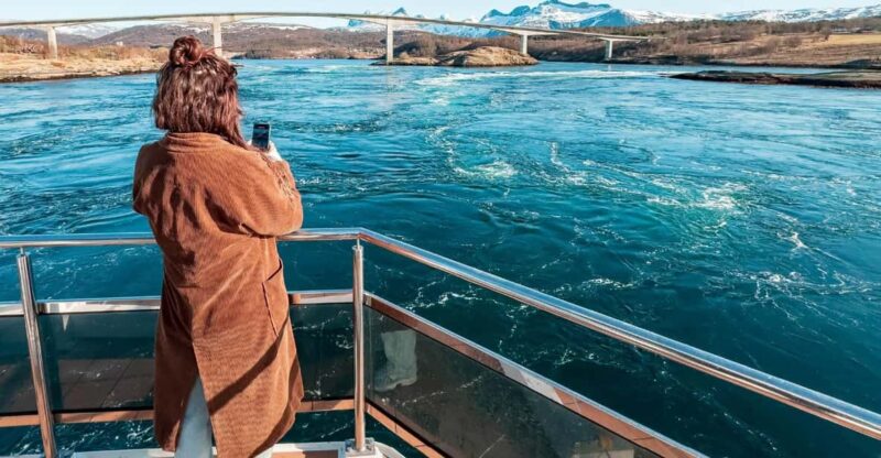 Bodø: Arctic Light Cruise - Experience Highlights