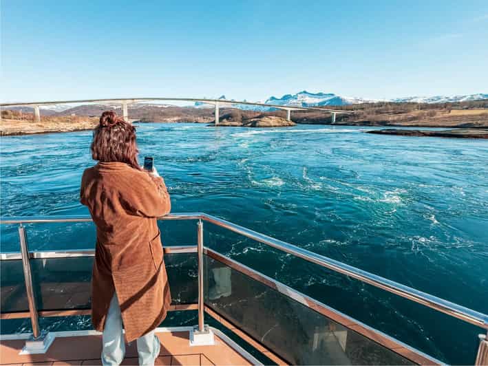 Bodø: Arctic Light Cruise - Tour Details