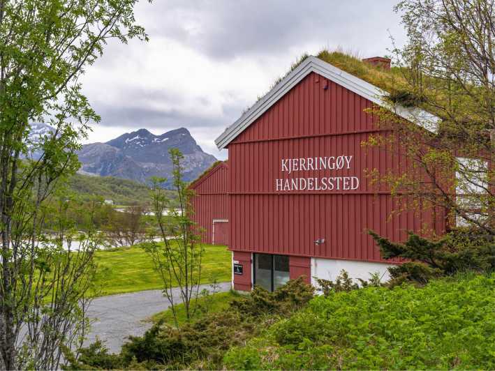 Bodø: Kjerringøy & Nordfjord Cruise - Experience Details