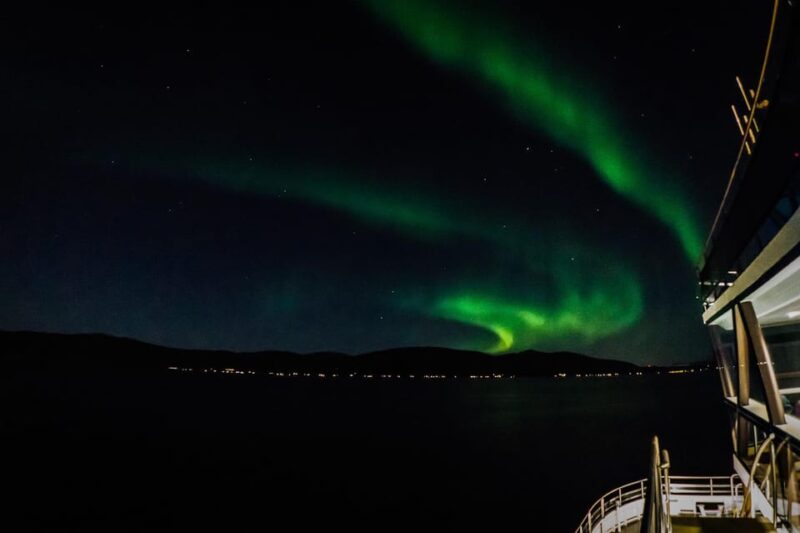 Bodø: Northern Lights Cruise - Meeting Information