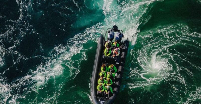 Bodø: Saltstraumen Sea Eagle Trip by RIB - Key Points