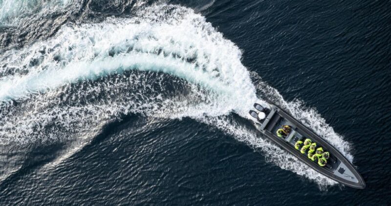 Bodø: Saltstraumen Sea Eagle Trip by RIB - Itinerary and Experience
