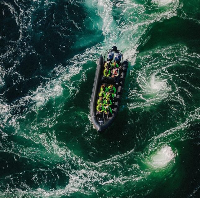 Bodø: Saltstraumen Sea Eagle Trip by RIB - Included Amenities and Requirements