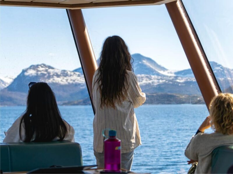 Bodø: Silent Winter Fjord Cruise - Experience Highlights